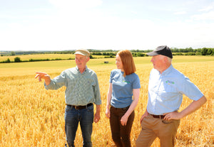 Three people standing in a wheat field on a farm tour in Ireland